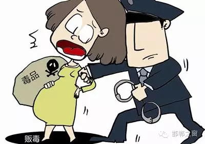 2016年初，涉縣警方查獲一起涉毒案件，鑒于該案涉案人員多、毒品交易量大，涉縣警方立即將案情上報(bào)，被公安部確立為“目標(biāo)-2016-314”號(hào)毒品案件。涉縣警方成立專案組，經(jīng)過多方追查，先后抓獲團(tuán)伙人員13名，繳獲毒品5349克，并查明上線“濮姐”的真實(shí)身份為陳某。